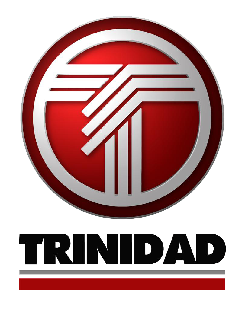 Logo TRINIDAD DGT - Distribuidora de Gomas Trinidad